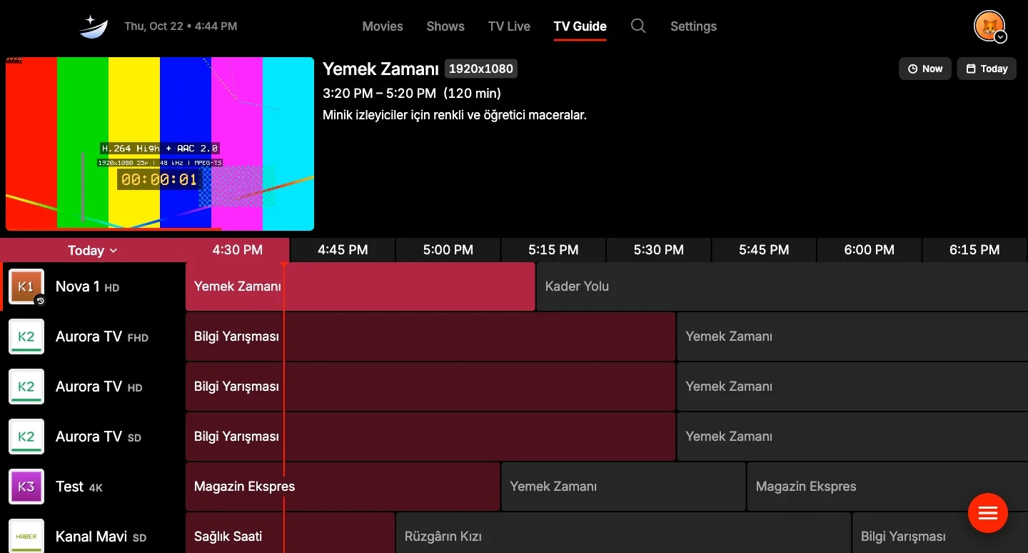 Carina’s TV Guide: a preview at the top and a programme grid below, with a red line marking the current time.